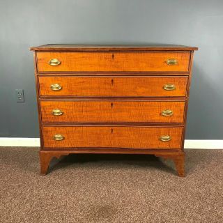 Circa 1800 England Birch & Tiger Maple 4 Drawer Federal Chest Of Drawers