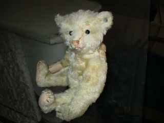 10 " Antique White Steiff Mohair Teddy Bear With Blank Button