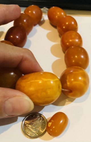 Fine Antique Baltic Egg Yolk Butterscotch Amber Large Beads 84.  2g