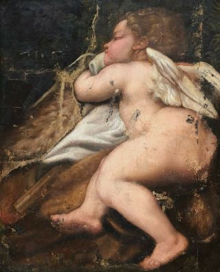 Cupid Sleeping Antique Old Master Oil Painting 17th Century European School