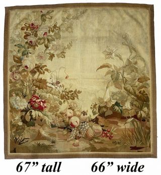 Antique 19th C.  French Aubusson,  Gobelin Wall Hanging 67 " X 66 " Tapestry,  Floral