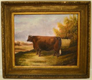 Fine Large Antique Early 20th Century Sussex Cow Oil Painting Clark Snr.