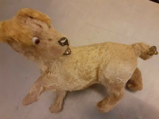 Rare Antique 6 - 1/2 " Side Glancing Mohair Dog With A Bee On The Tail