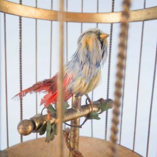 Antique c1900 French Automaton Bontems Mechanical Singing Bird In Birdcage 6