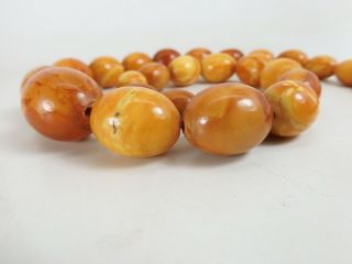 Antique Egg Yolk - Butterscotch Amber Bead Necklace 1 - Inch Bead 59 Grams