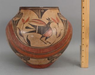 Large Antique 19thc Western Zia Pueblo Indian Olla Polychrome Pottery Bird Pot