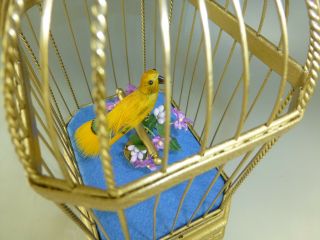 Antique German Karl Griesbaum Singing Bird Cage Musical Automaton (watch Video)