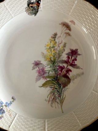 Huge Antiques meissen porcelain Serving Bowl Art Nouveau Naturalistic 3