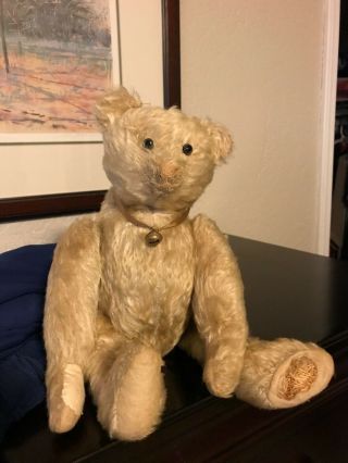 14 " Early 1900’s Beige Blond Jointed Steiff Mohair Teddy Very Well Loved