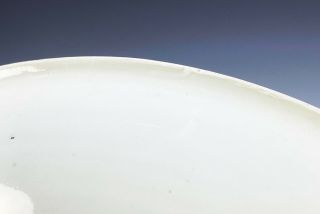 Large Antique Chinese Famille Verte Porcelain Plate Dish - Kangxi Period 6
