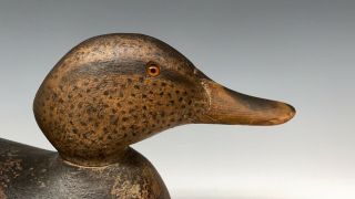 Mason Premier Mallard Hen Decoy Vintage Duck Hunting Decoys Old Early