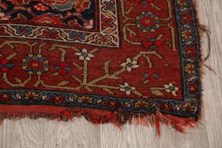 Antique Pre - 1900 Herati Vegetable Dye Runner Rug All - Over Oriental Handmade 4x15 6