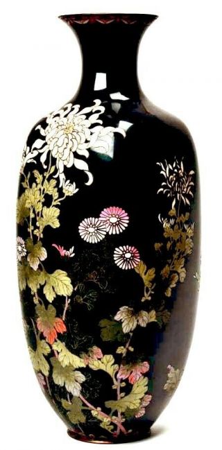 Large Antique Japanese Cloisonne Black Enamel Chrysanthemum Flowers Vase.