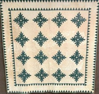 Early C 1840 - 50s Album Applique Quilt Framed With Points Fine Quilting