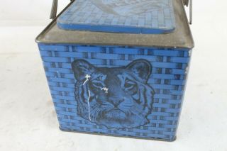 Vintage Bright Tiger Metal Tobacco Tin Litho General Store Counter Display Blue 3