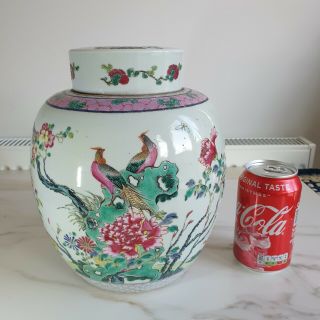 Large Chinese 19th C Guangxu Famille Rose Exotic Birds Jar / Vase