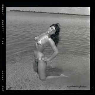 Bettie Page 1954 Camera Negative Bunny Yeager Estate Bikini Pin - up Pose 2