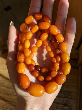 Antique Baltic Amber Beads Necklace Butterscotch Egg Yolk Prayer Beads C.  1920
