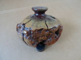 Vintage Manzanita Burl Wood Driftwood Bud Vase