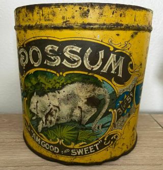 Vintage Possum 3 For 5 Cents Cigar Tobacco Tin Yellow 5 "