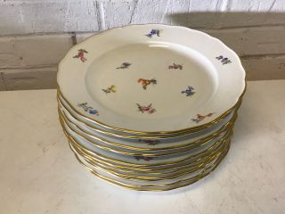 Antique German Meissen Porcelain Set Of 11 Plates Floral Decoration & Gold Rims