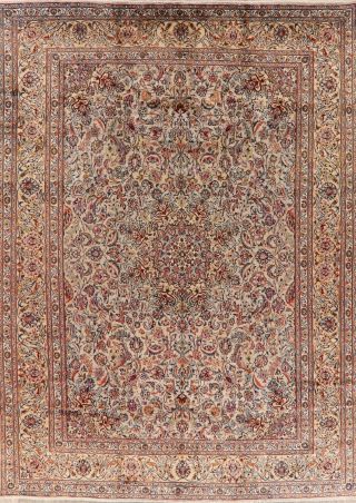 Vintage Traditional Floral Oriental Area Rug 9x13 Hand - Knotted Wool Carpet