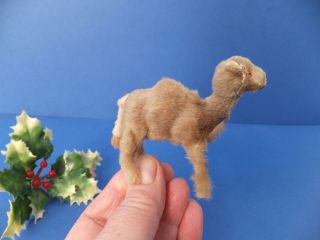 Vintage Antique Miniature 6.  5cm German Real Fur Toy Camel Nativity Noah