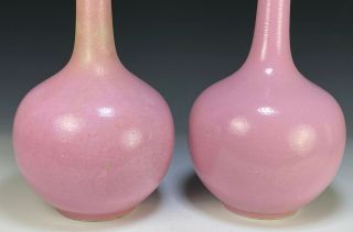 Large Antique Chinese Pink Glazed Porcelain Bottle Vases 3