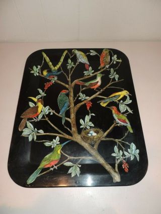 Vintage Piero Fornasetti Milano Black & Colorful Bird Metal Tray 22 3/4 18 1/4