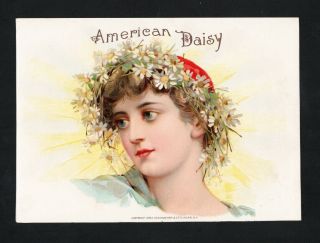 1800s Cigar Label - American Daisy - Schumacher & Ettlinger Litho
