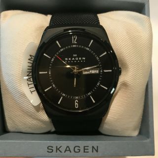 Skagen Skw6006 Mens Aktiv Titanium Black Steel - Mesh Watch 40 Mm $175