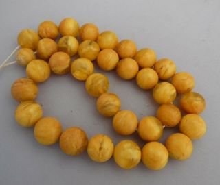 Antique Butterscotch Eggyolk Natural Amber Beads Necklace 70,  9 G
