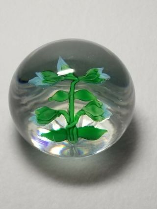 Antique 19th C.  Baccarat Blue Clematis Buds Glass Paperweight 2