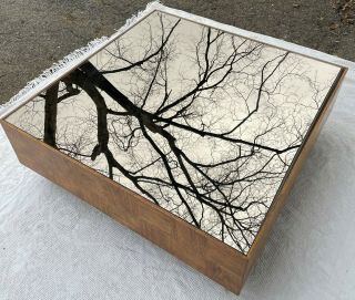 Milo Baughman Parson Coffee Table Cube Burl Wood Smoke Mirror MCM Thayer Coggin 4