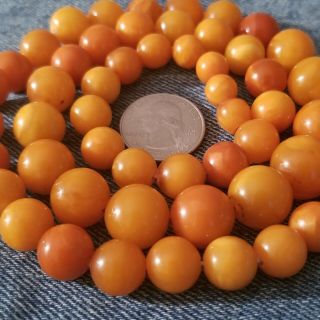 Vintage Antique Egg Yolk Butterscotch Baltic Amber Round Bead Necklace - 57 Gram