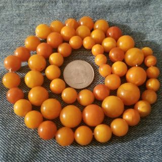 Vintage Antique Egg Yolk Butterscotch Baltic Amber Round Bead Necklace - 57 Gram 4
