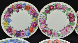 Set of 8 Antique Dresden Porcelain HP Floral Service Plates Ambrosius Lamm 2