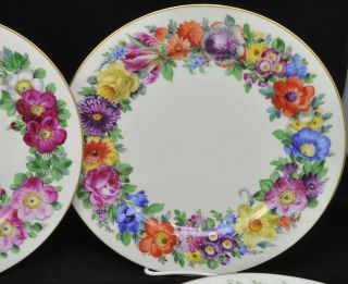 Set of 8 Antique Dresden Porcelain HP Floral Service Plates Ambrosius Lamm 3