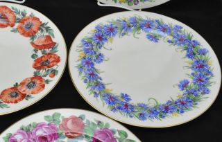 Set of 8 Antique Dresden Porcelain HP Floral Service Plates Ambrosius Lamm 5