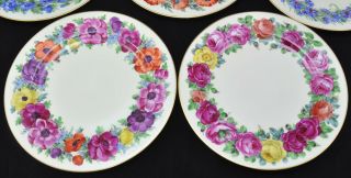 Set of 8 Antique Dresden Porcelain HP Floral Service Plates Ambrosius Lamm 6