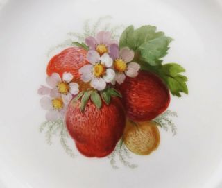 12 Antique c1890 KPM German Porcelain Hand Painted Fruit Lunch Plates Victorian 6