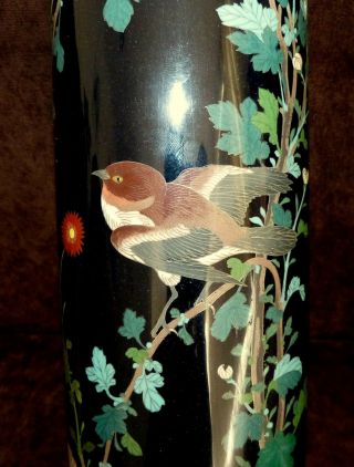 ANTIQUE LARGE JAPANESE / CHINESE CLOISONNE ENAMEL VASE WITH CHERRY BLOSSOMS 3