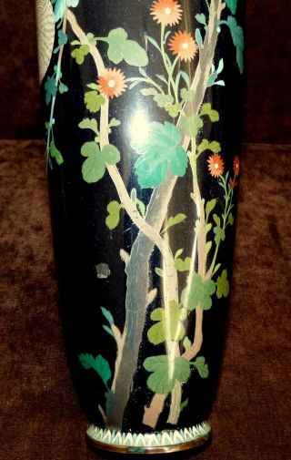 ANTIQUE LARGE JAPANESE / CHINESE CLOISONNE ENAMEL VASE WITH CHERRY BLOSSOMS 4