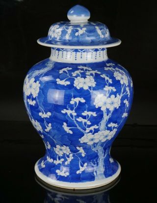 LARG Antique Chinese Blue and White Porcelain Prunus Blossom Vase & Cover MARKED 4