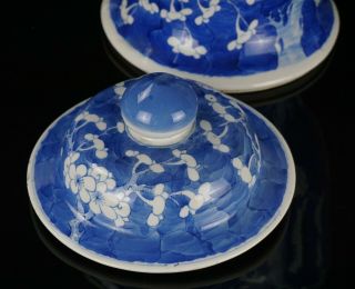 LARG Antique Chinese Blue and White Porcelain Prunus Blossom Vase & Cover MARKED 5