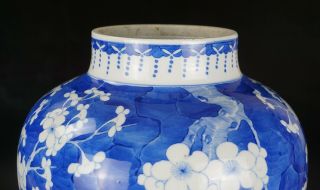 LARG Antique Chinese Blue and White Porcelain Prunus Blossom Vase & Cover MARKED 6