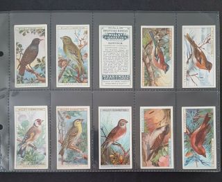 Cigarette Cards - Wills - British Birds - Full Set 50 - Vg - Ex