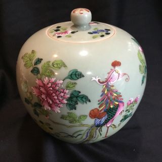 Vintage Or Antique Chinese Porcelain Covered Ginger Jar Vase Hand Painted Bird