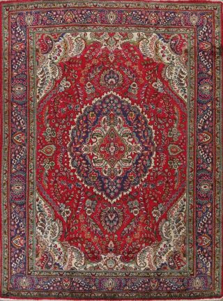 9x11 Vintage Oriental Floral Traditional Medallion Area Rug Hand - Knotted Carpet