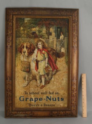 Antique Tin Lithograph Grape Nuts Cereal Advertising Sign W/ Saint Bernard Dog